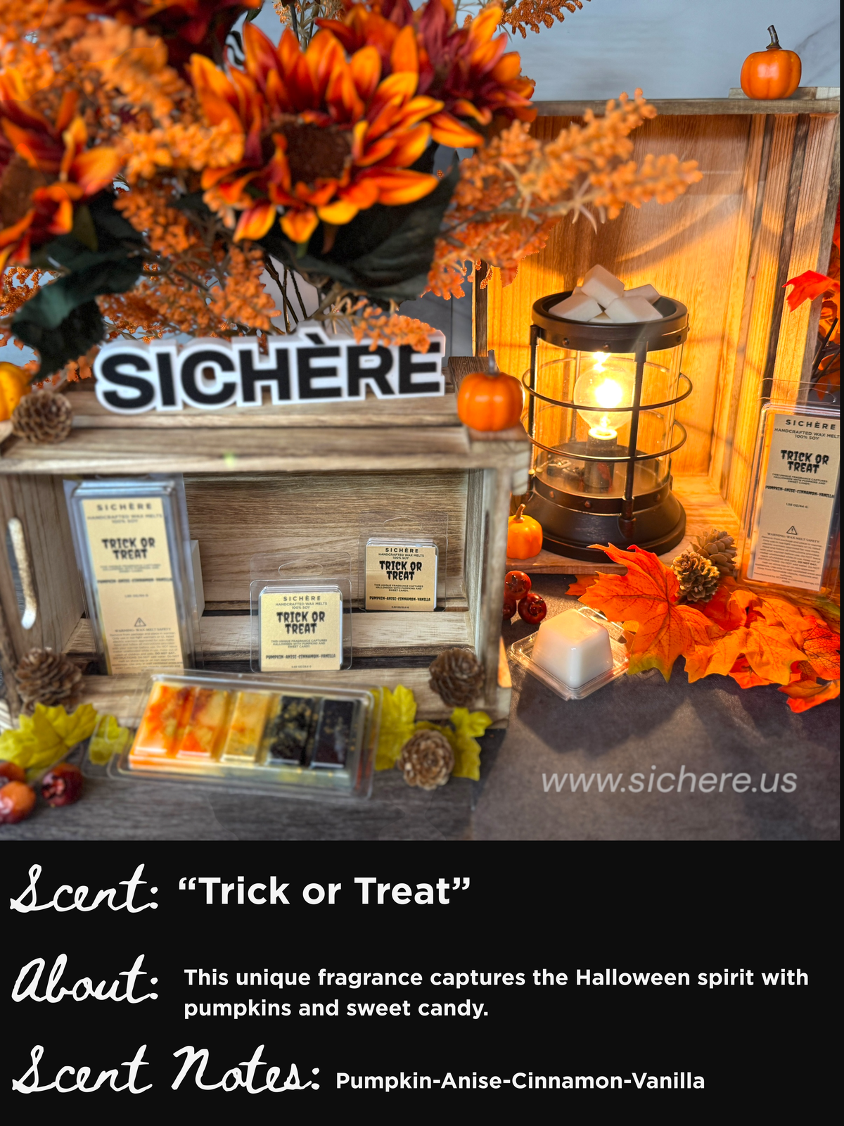 Trick or Treat Wax Melts