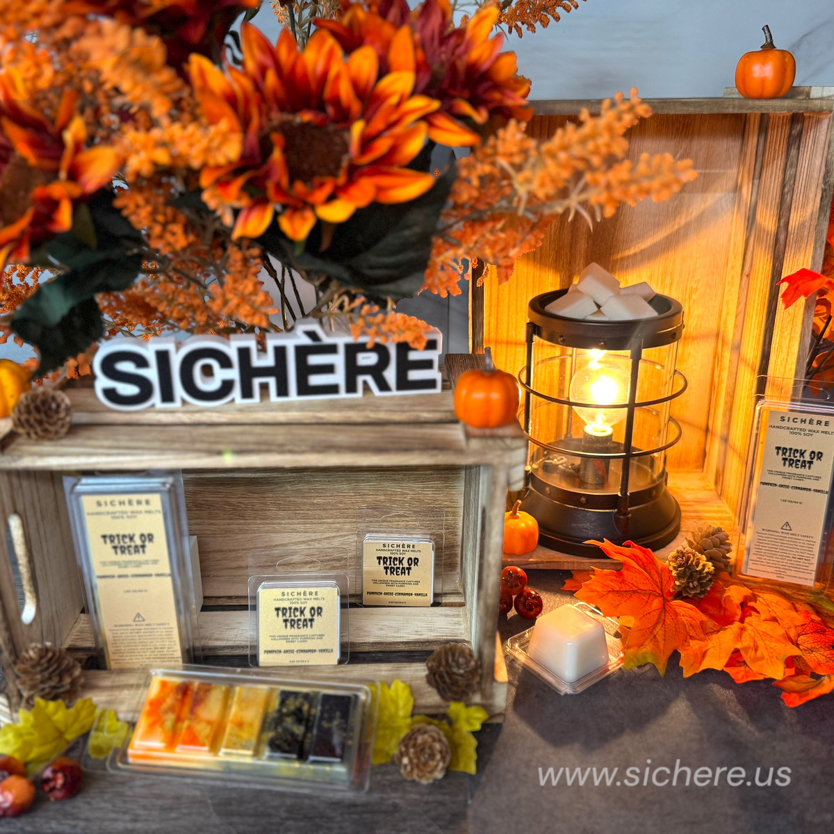 Trick or Treat Wax Melts